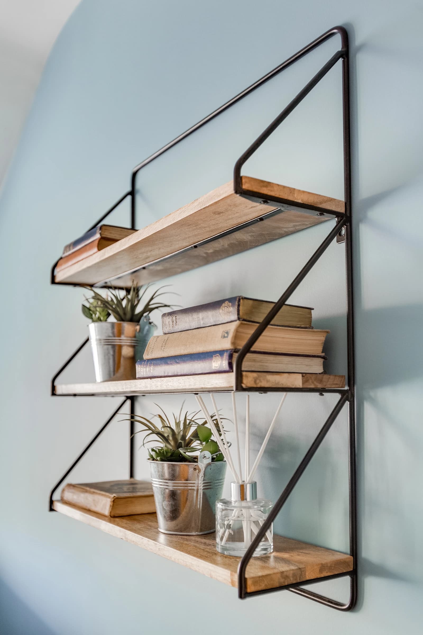 Bookshelf with old books and beautiful green plants